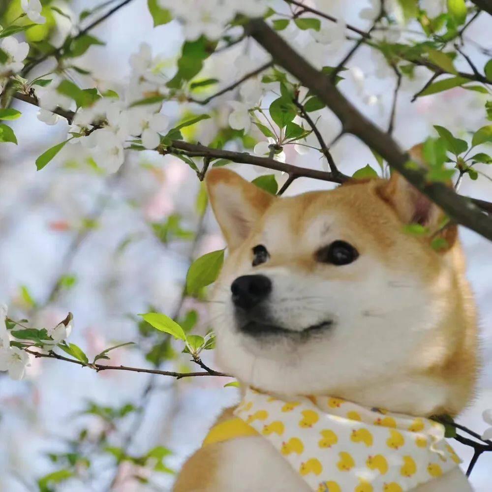 丁点搞笑盘点