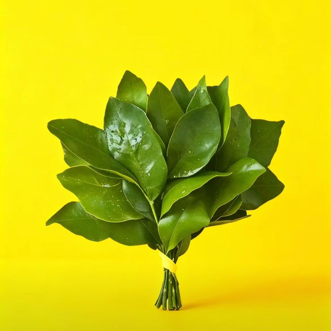 胖不吃