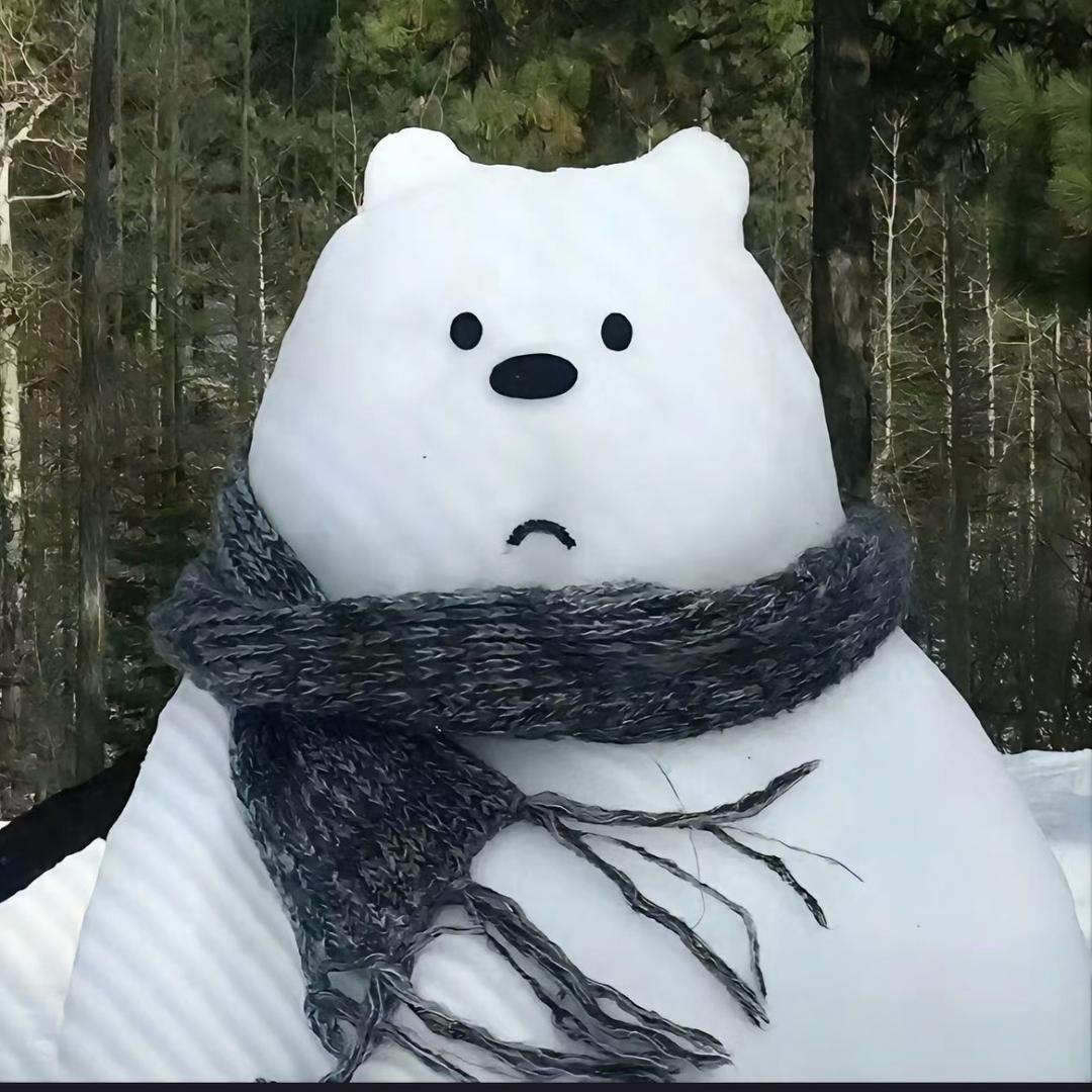 不爱吃鱼的猫