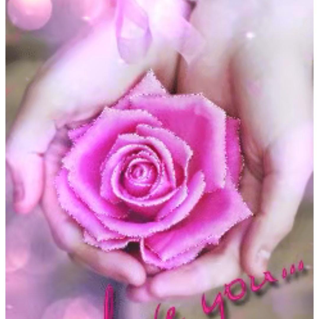 ꧁孤单🌹玫瑰꧂
