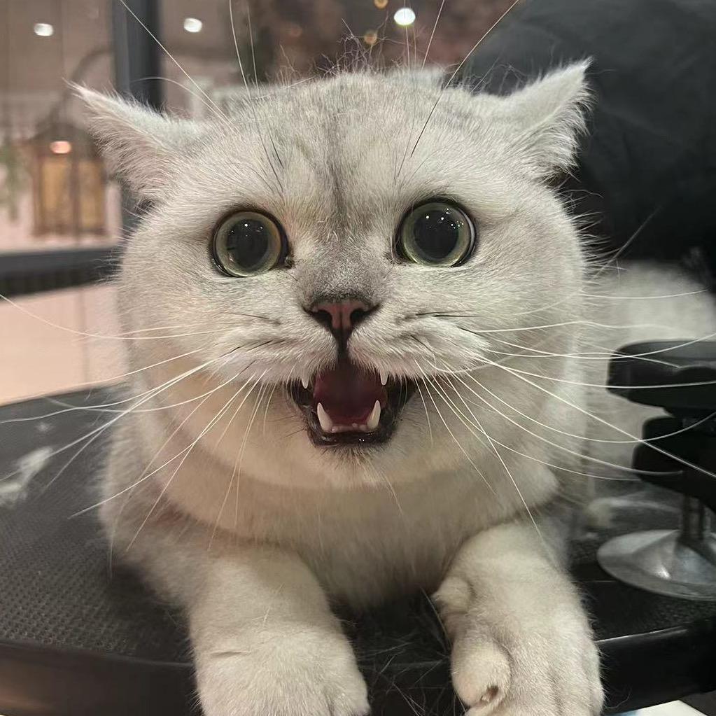 康康
