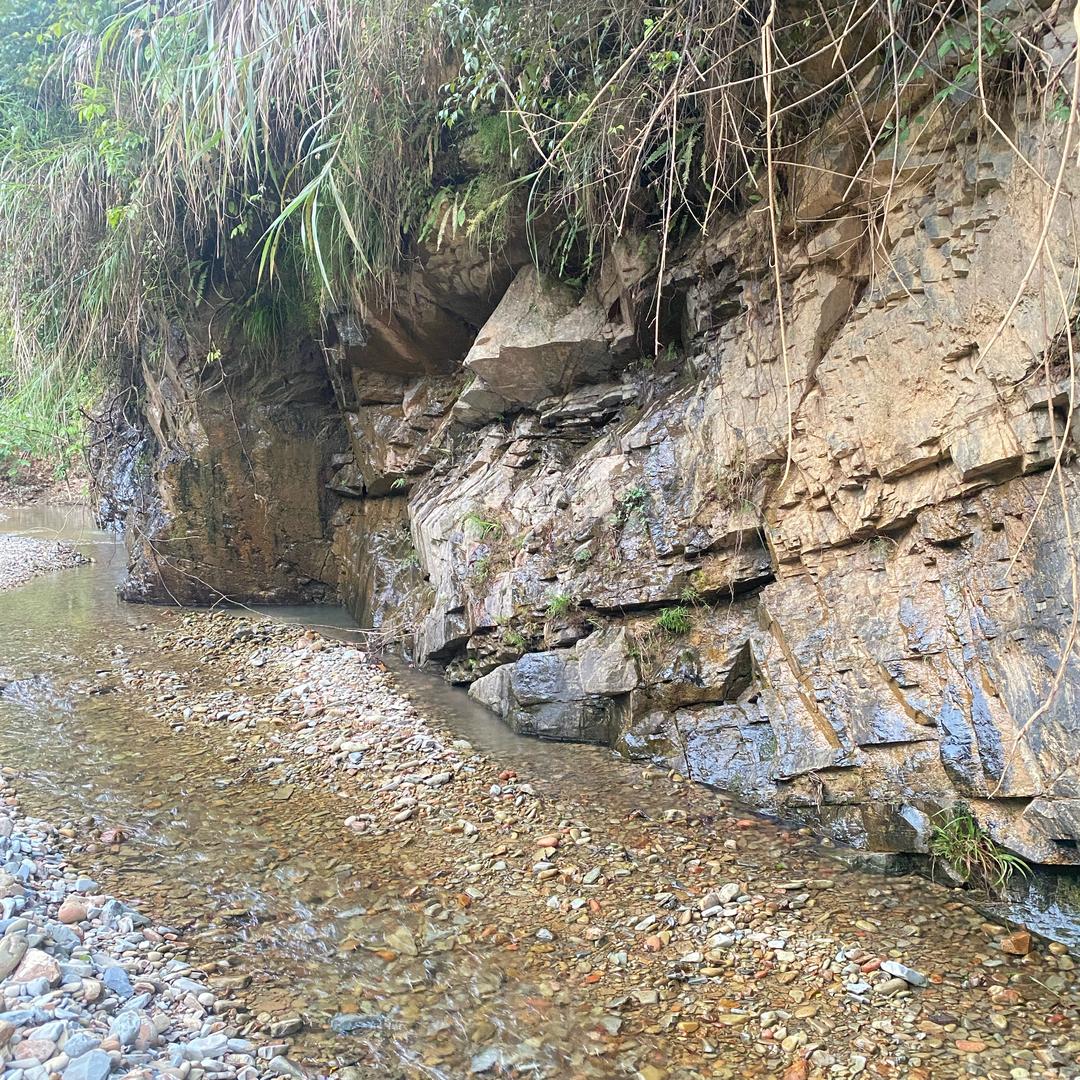 集齐学书