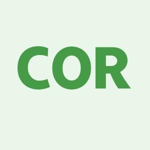 COR外设
