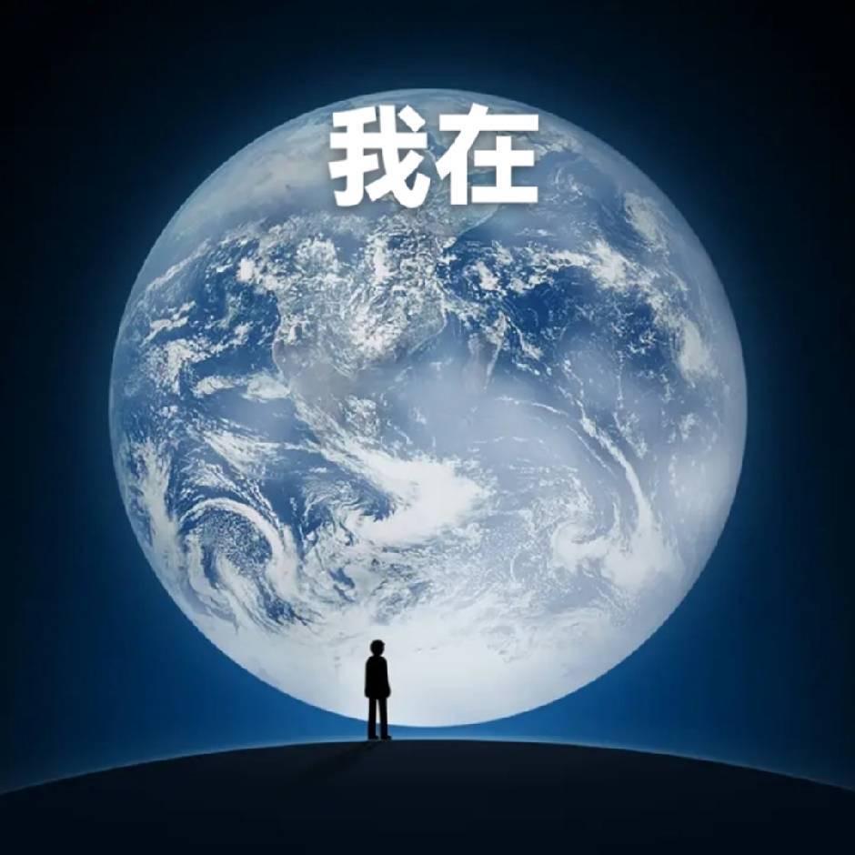 杨杨