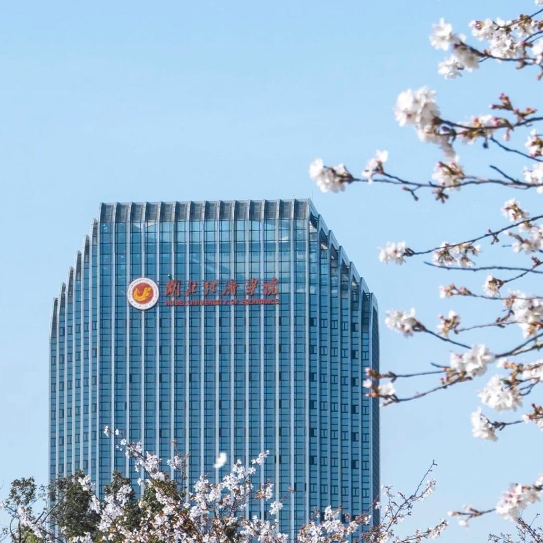 湖经法商小周学长