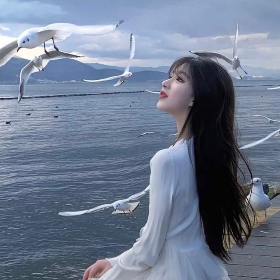 好莱坞