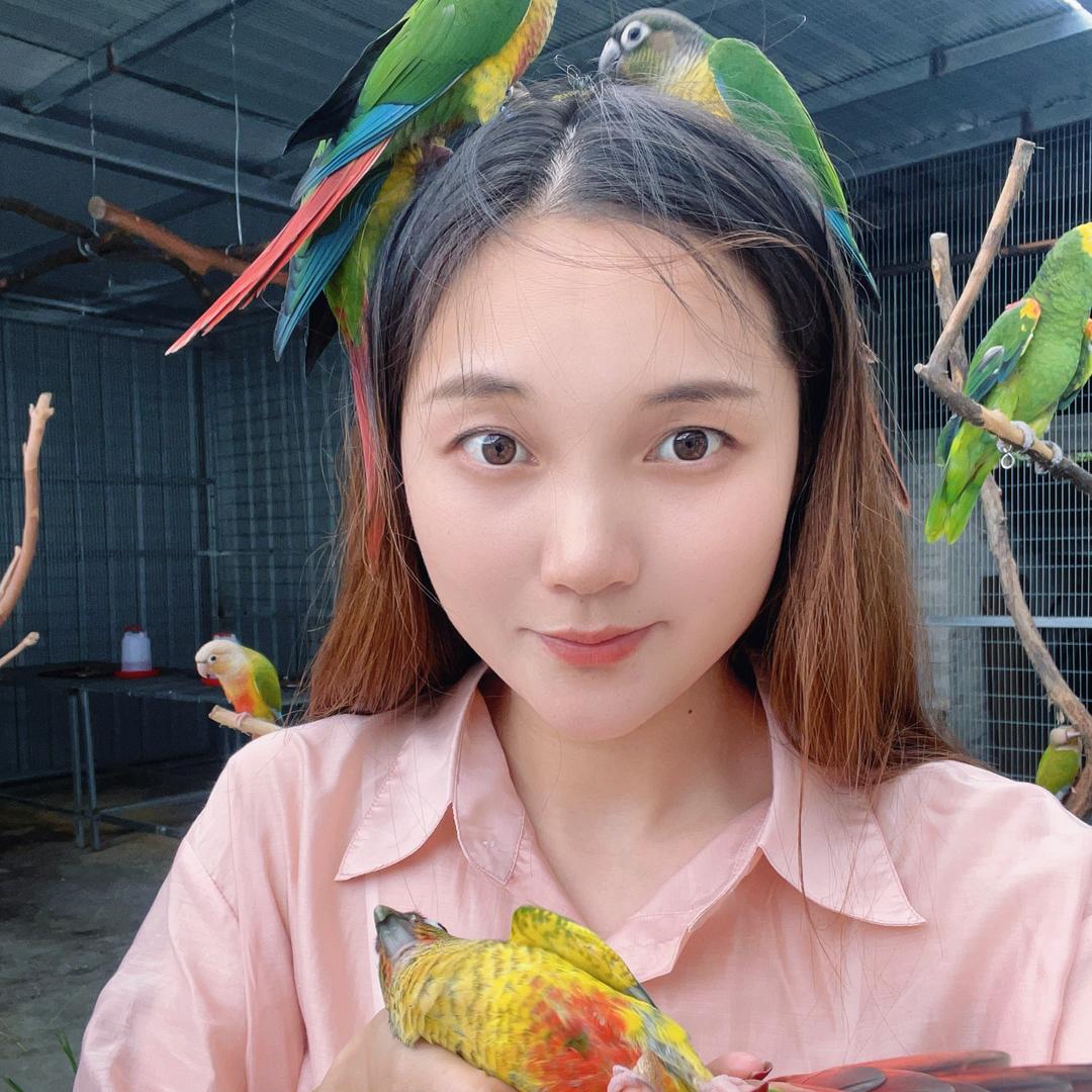 贵州凯里鹦鹉养殖1