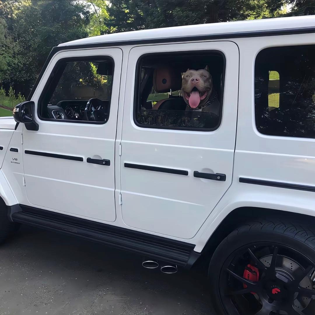 多多电商，供应链，共创共赢