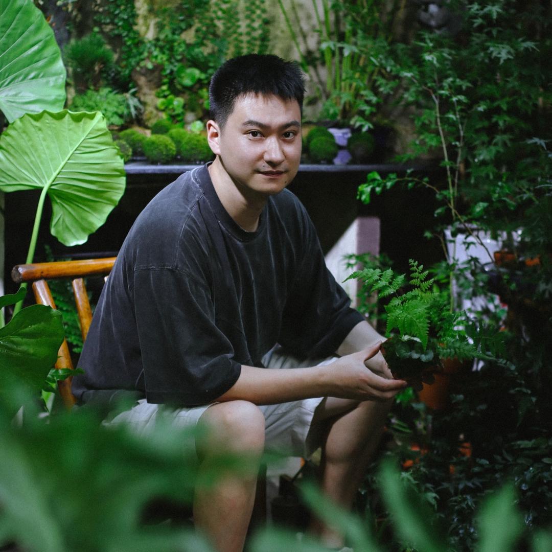 植弥
