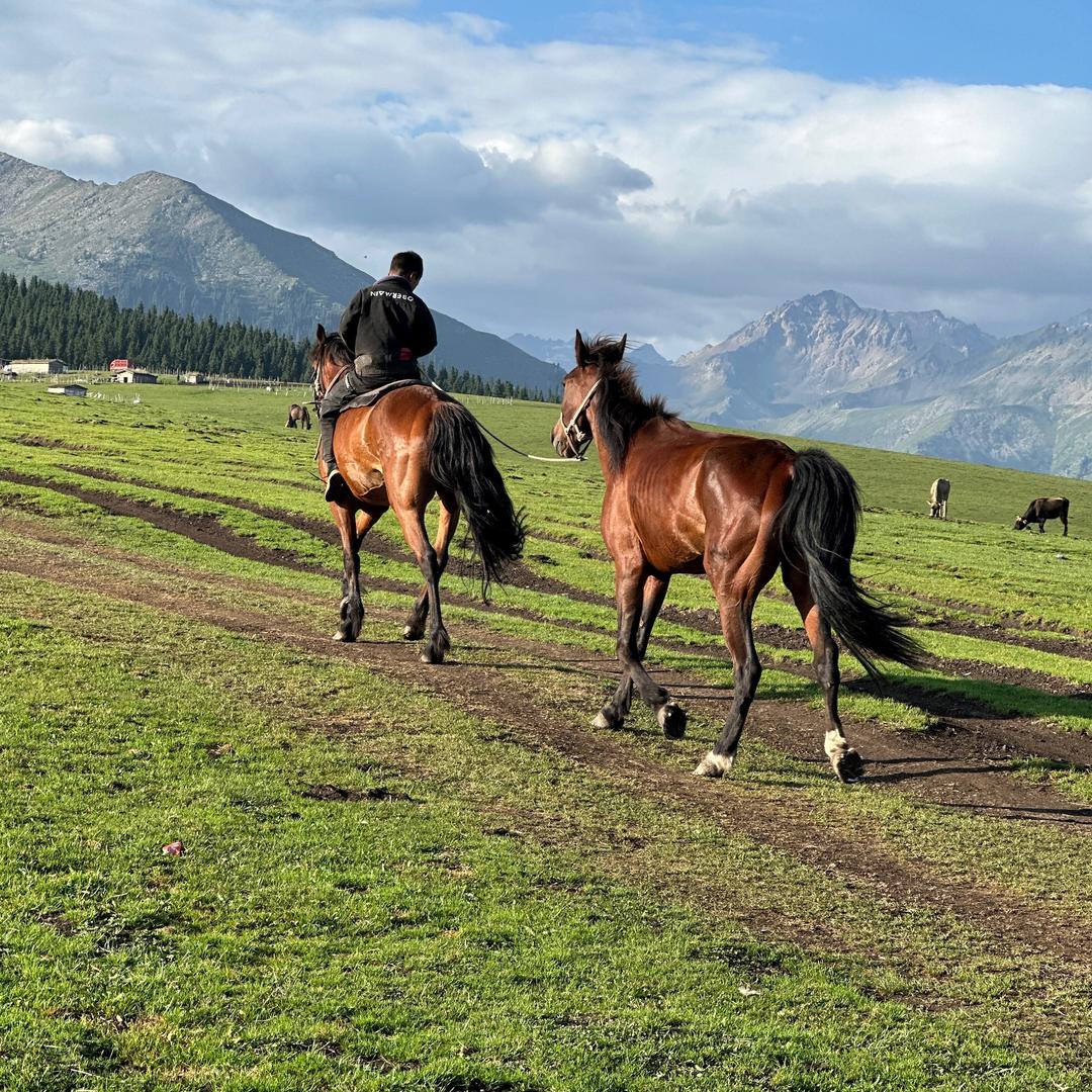 即墨N+休闲女装批发
