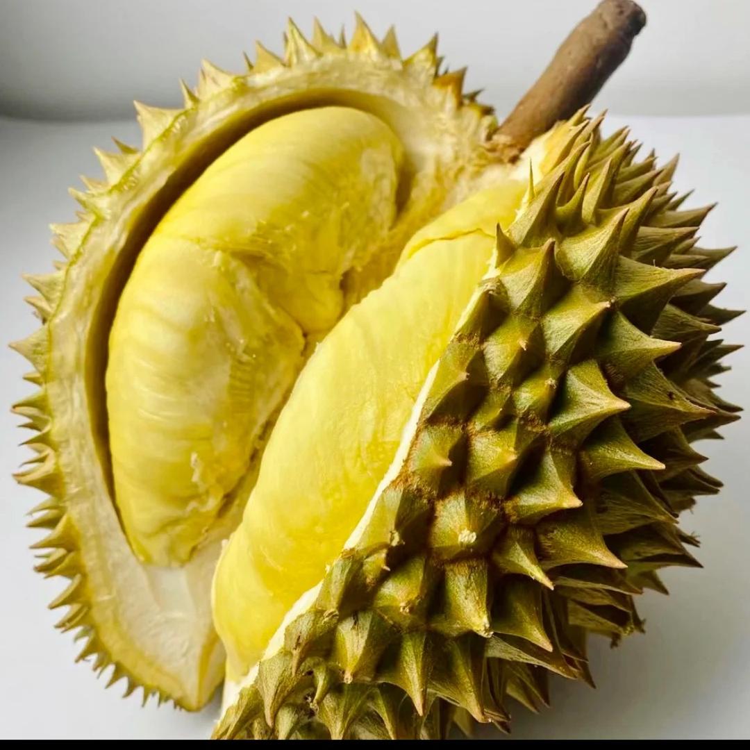 果笑颜