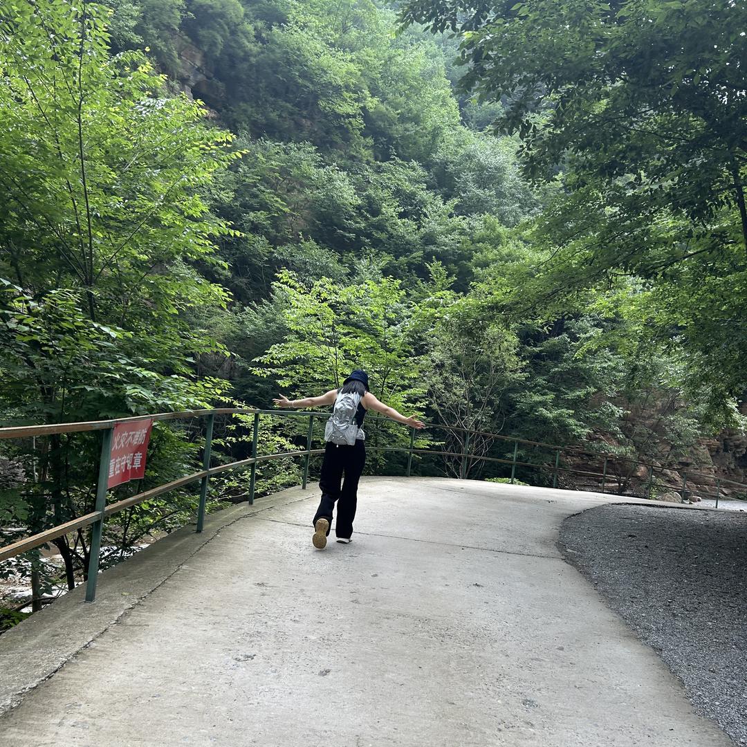 赛威狮箱包