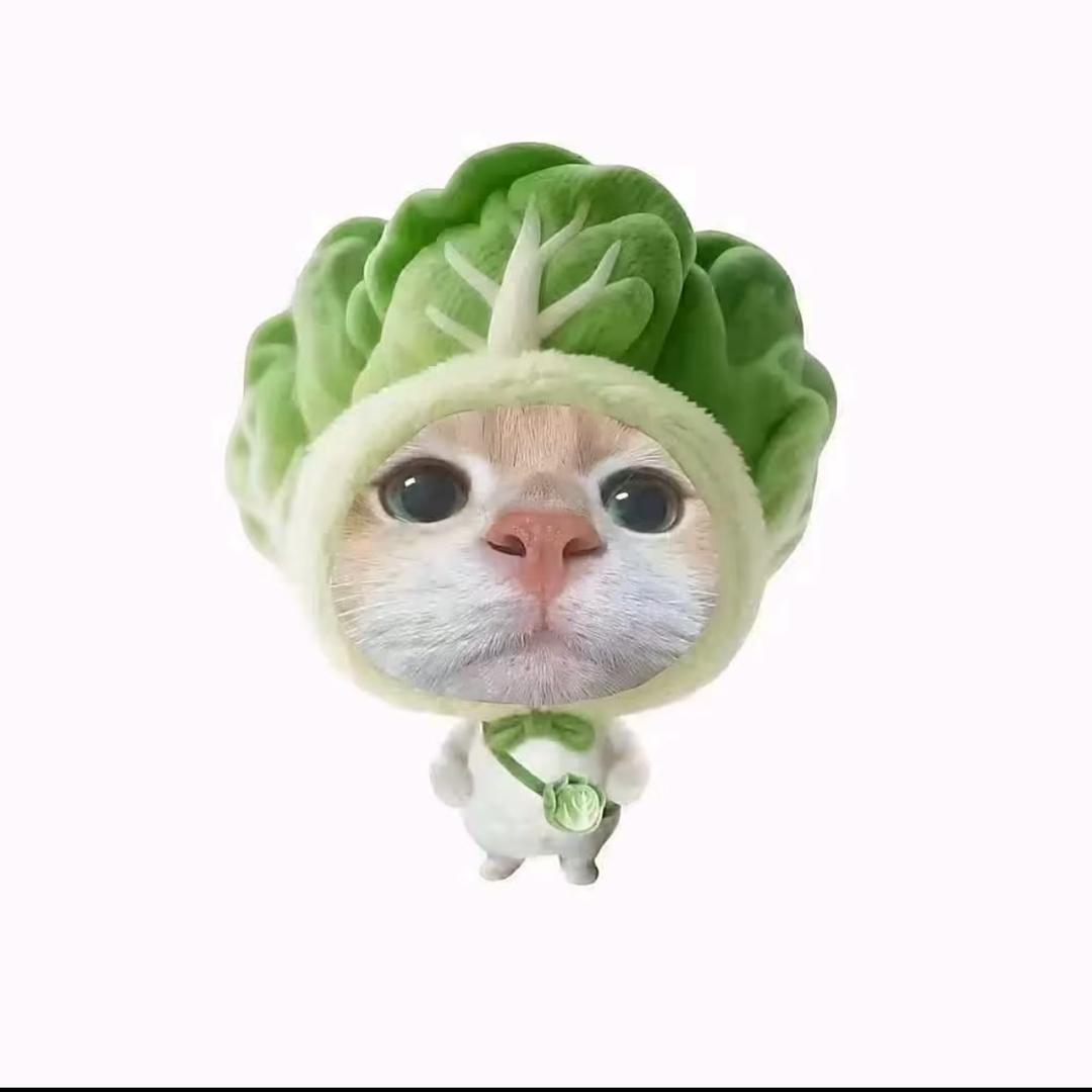 哒补溜哒不溜