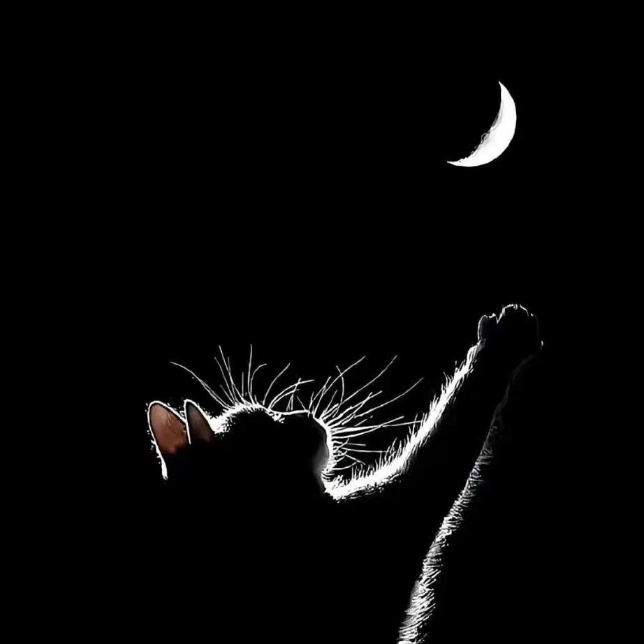 樂汇（YUEHUI）·小方