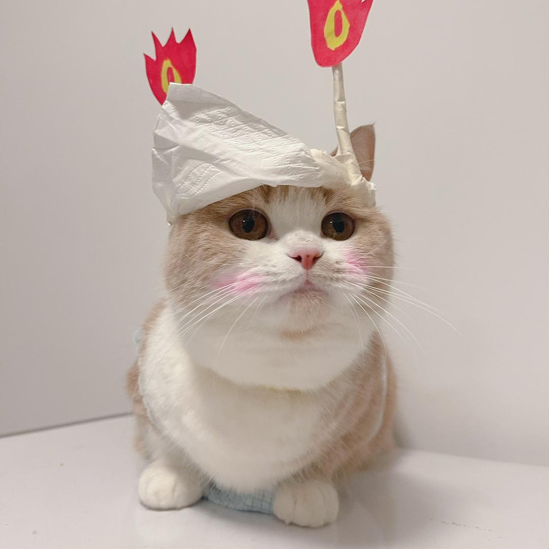 肥美小豆奶
