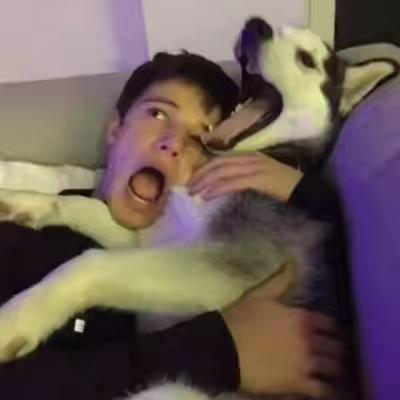 数煜