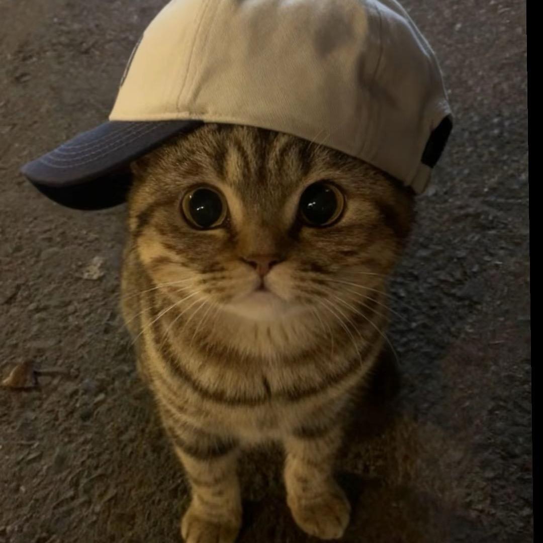 败