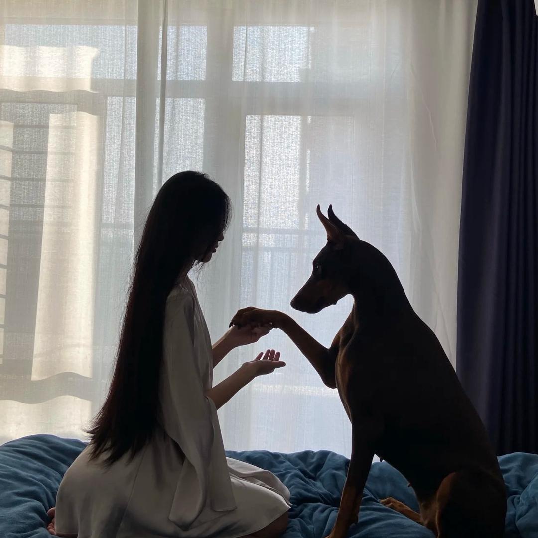 小诺米