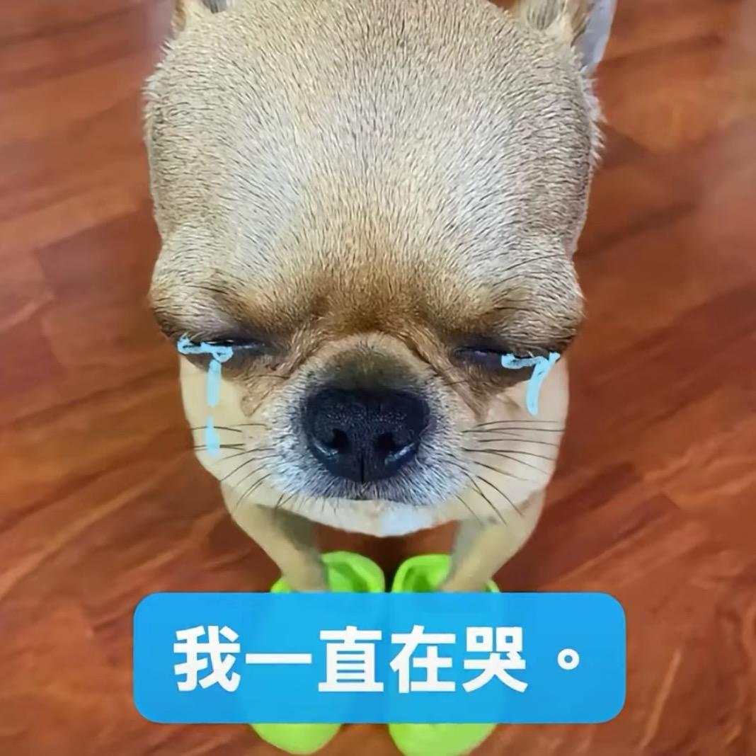 你怎么哭了