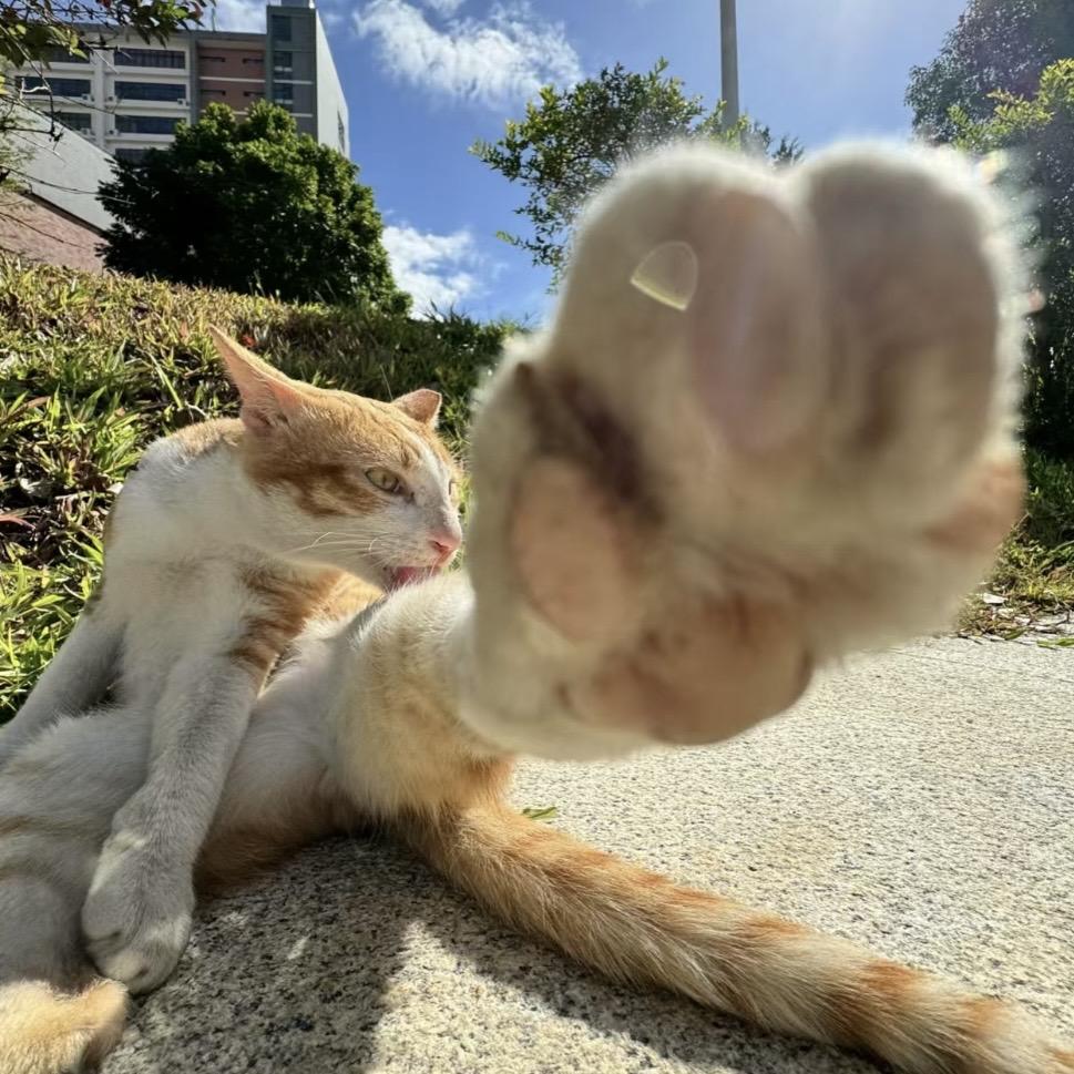 帅到男神求高级