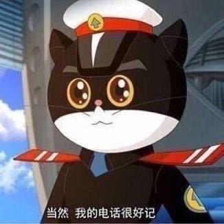 宝哥