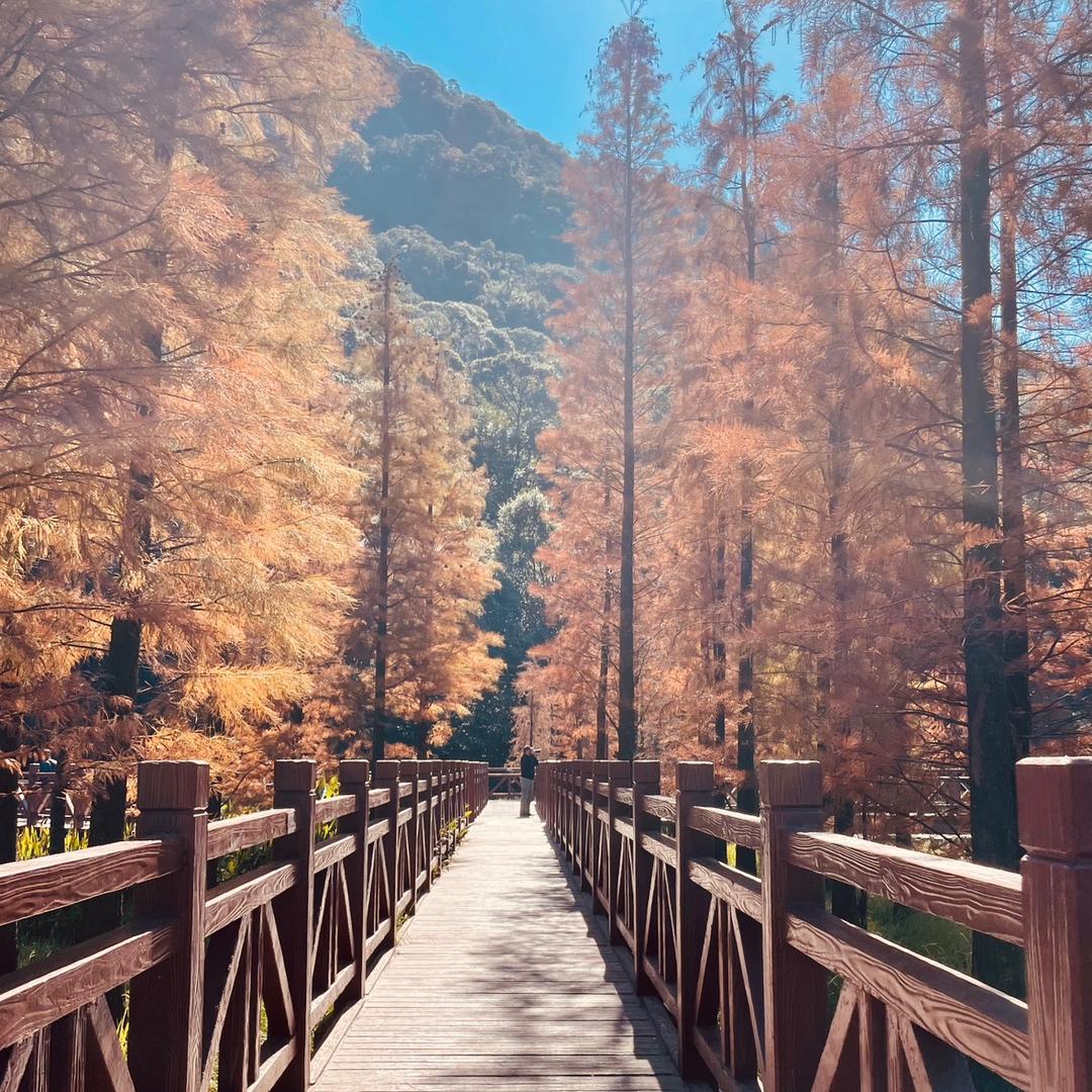 简深