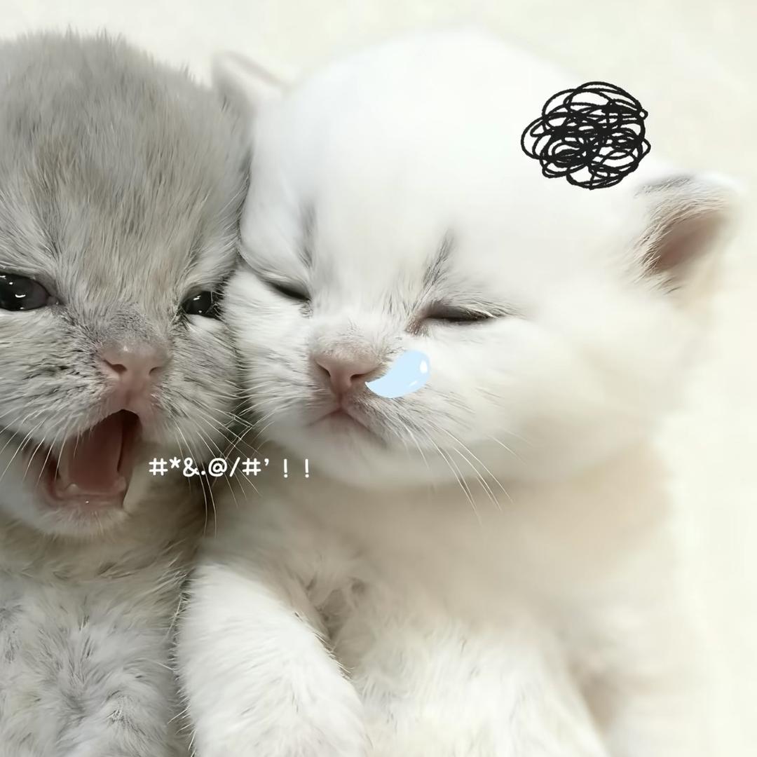 nctwash宋鸭炫