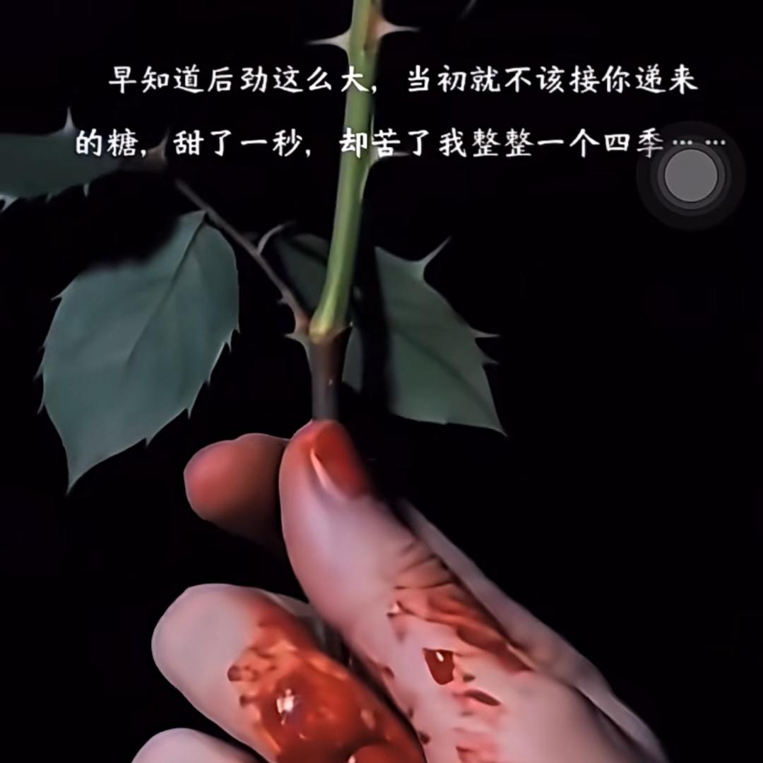 🔥苦☕᭄🕊咖啡᭄ꦿᩚ