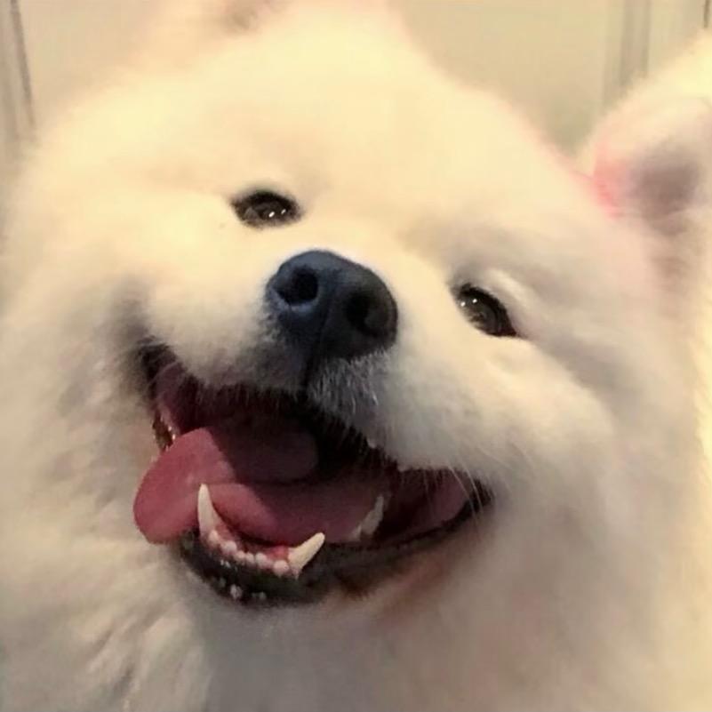 安吉啦