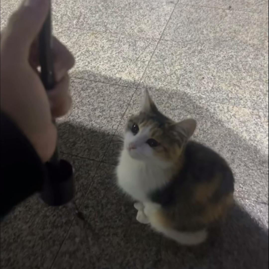 昭昭璐漫冬