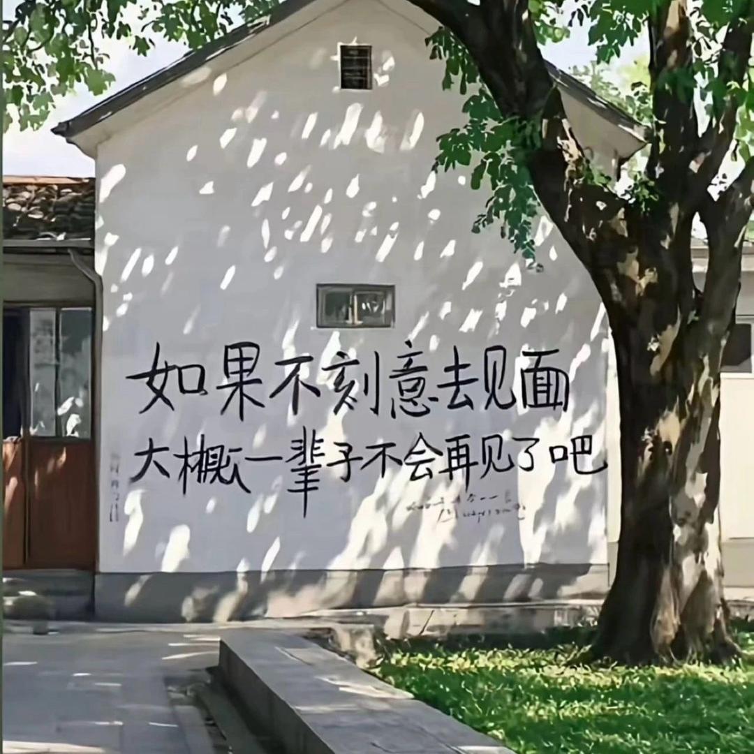 野兔Eliot