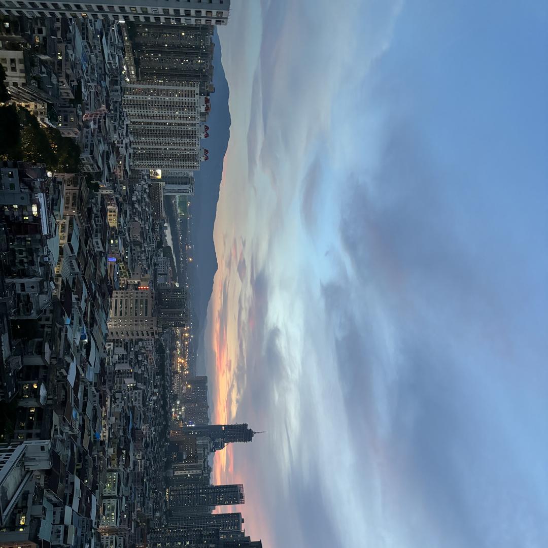 爆款手机壳