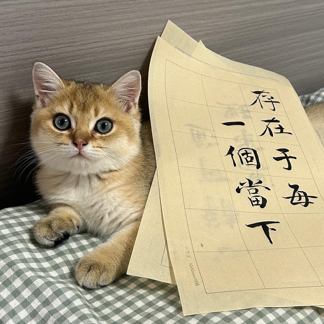 临江书法