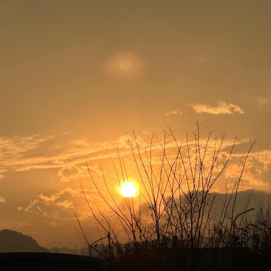 汗血马乌拉/申先生