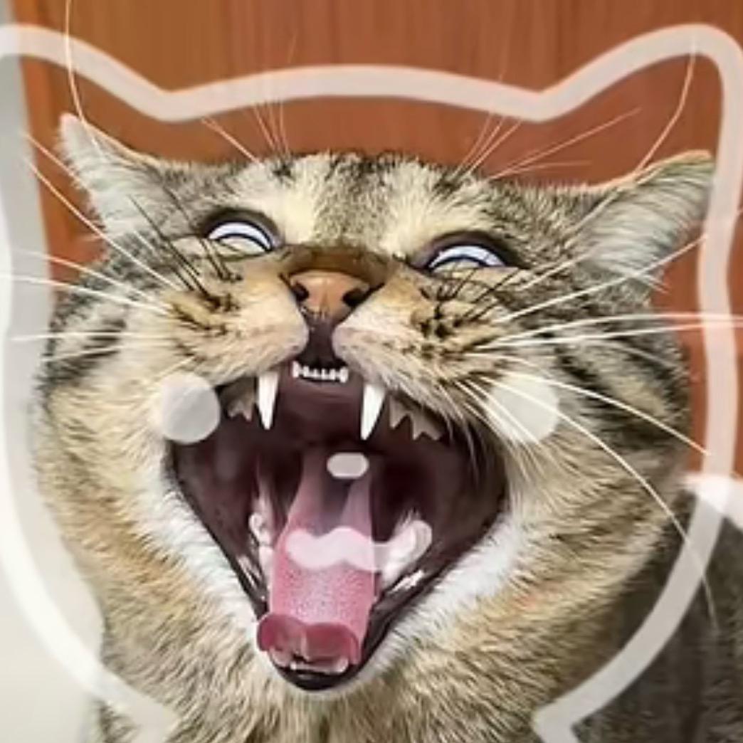 AAA房屋装修周哥🌹🌹🌹