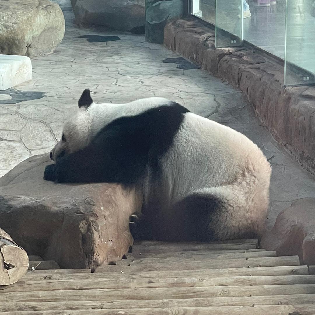 求求你去学习