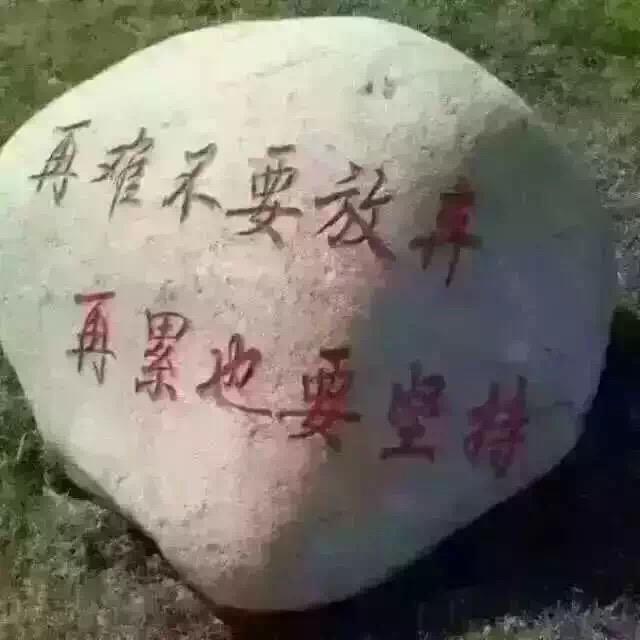 会飞的🐟