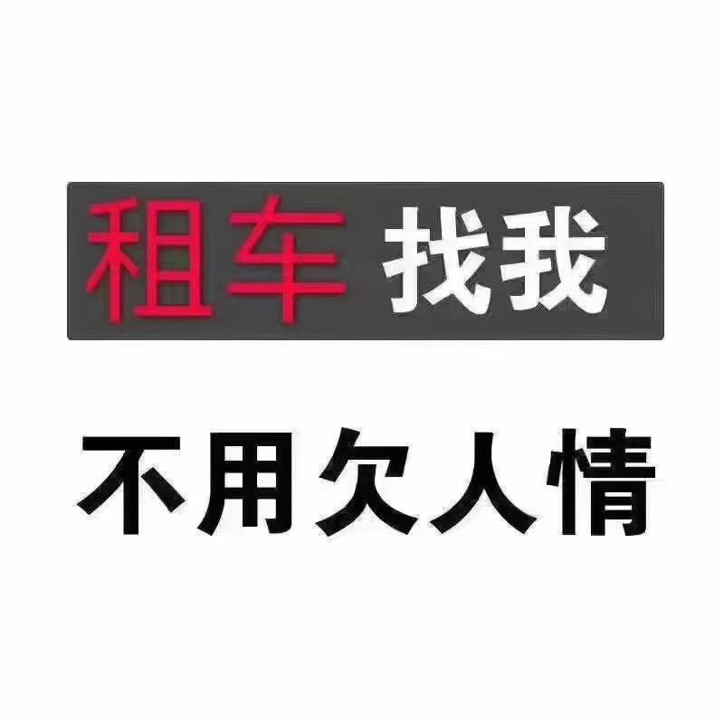 桐林汽车租赁（年租月付)
