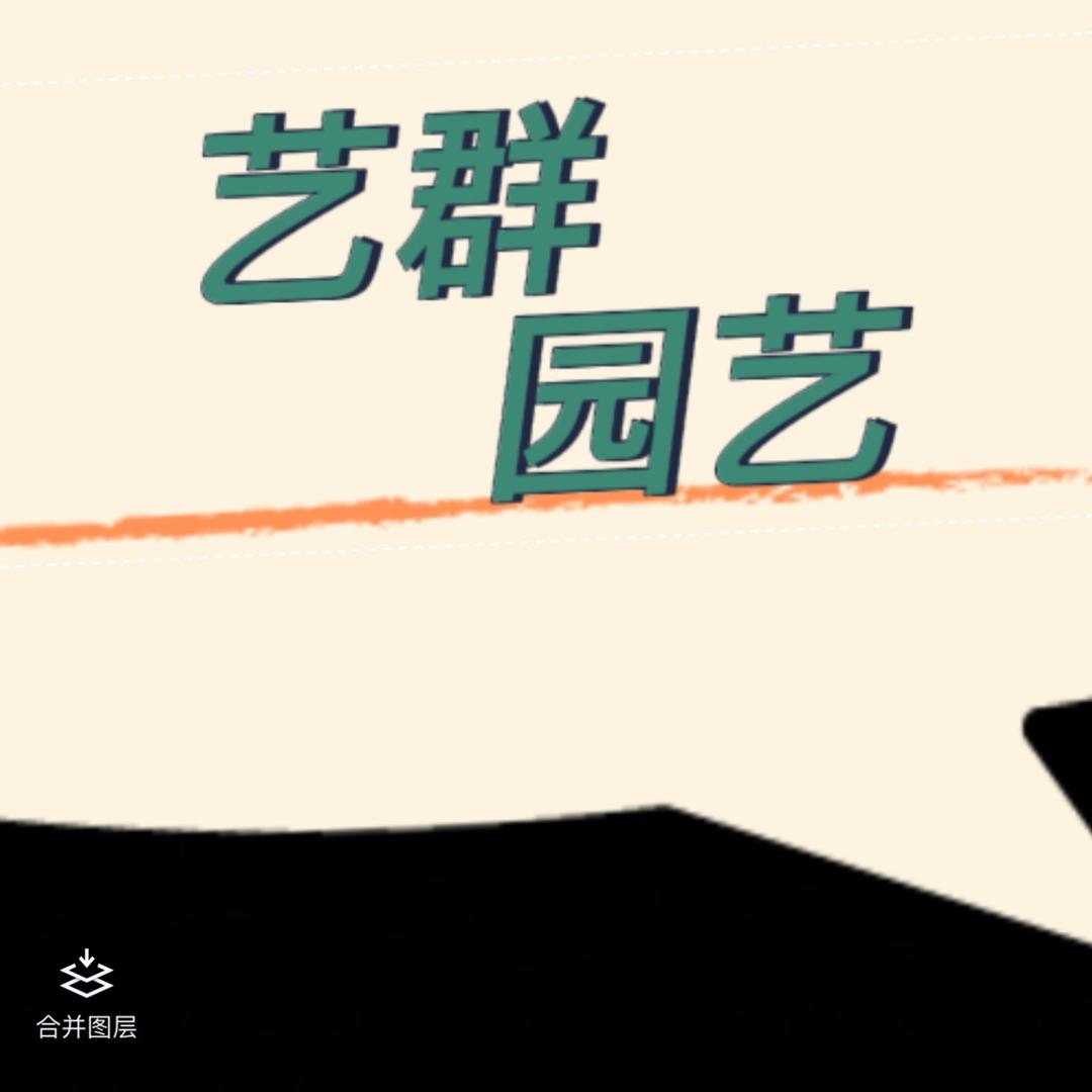 艺群园艺盆景