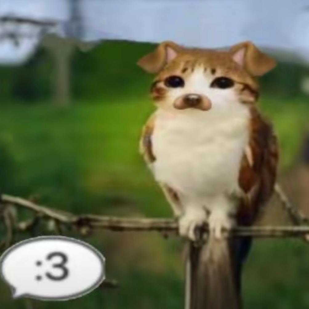 红秋裤橘粒咕噜