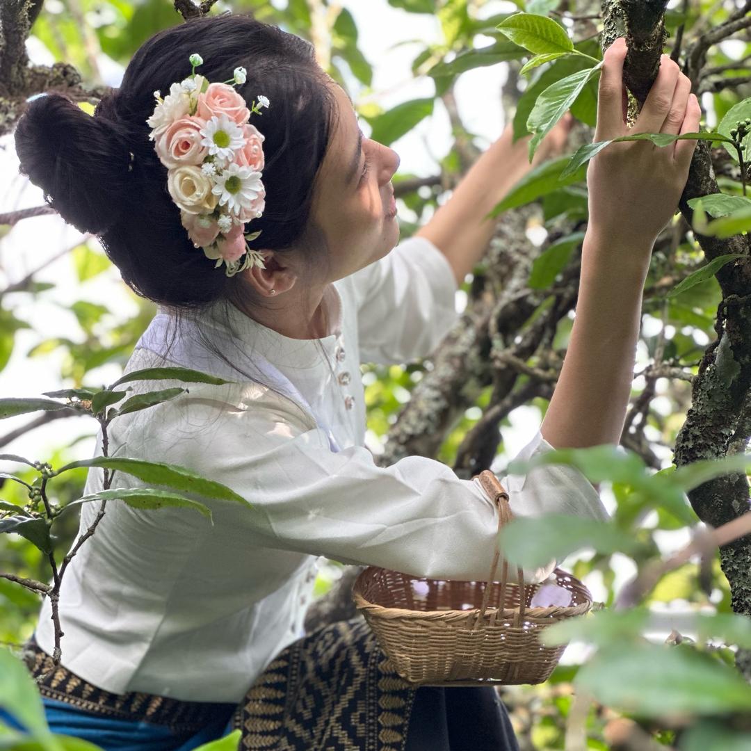 丹美女子🍃