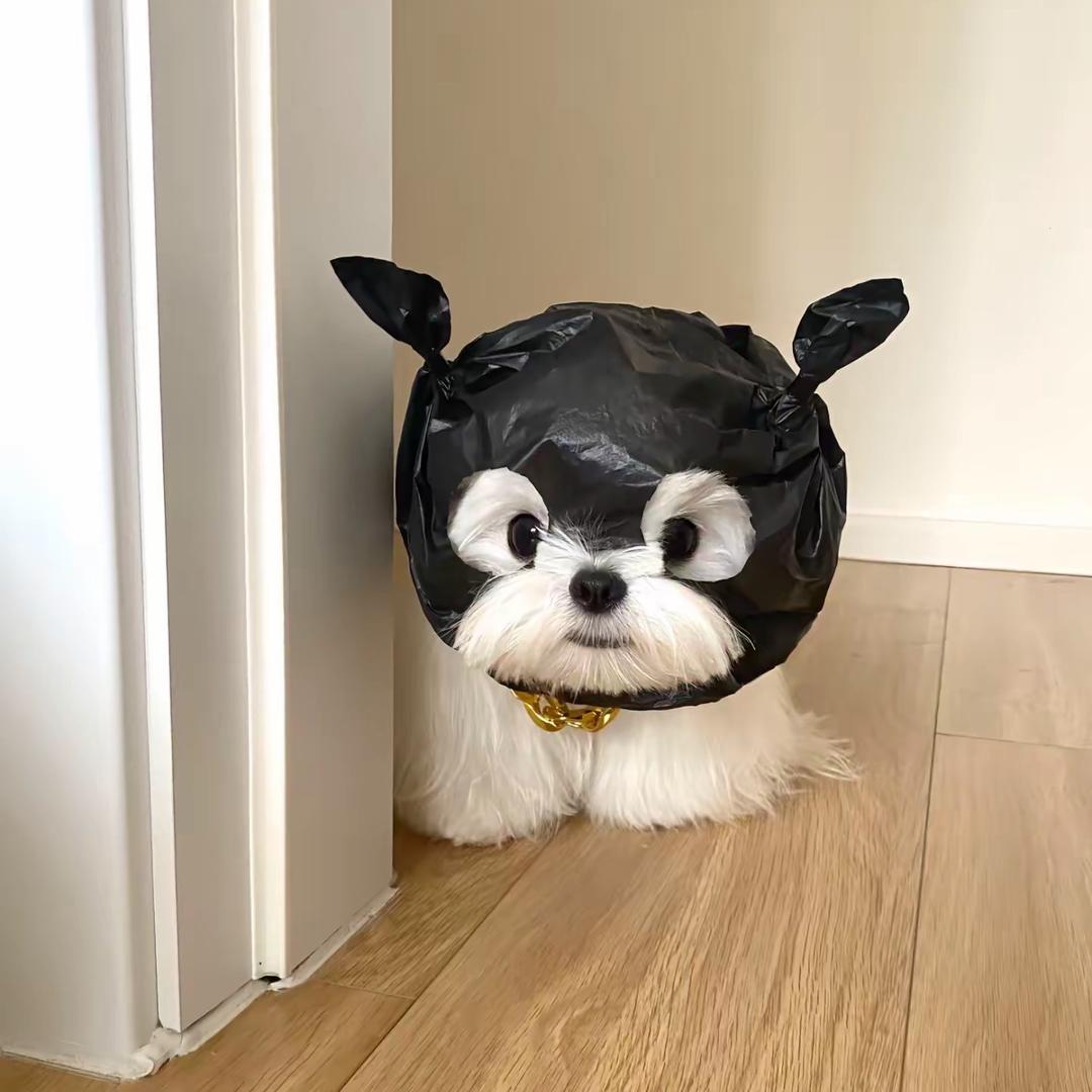金牌辅助