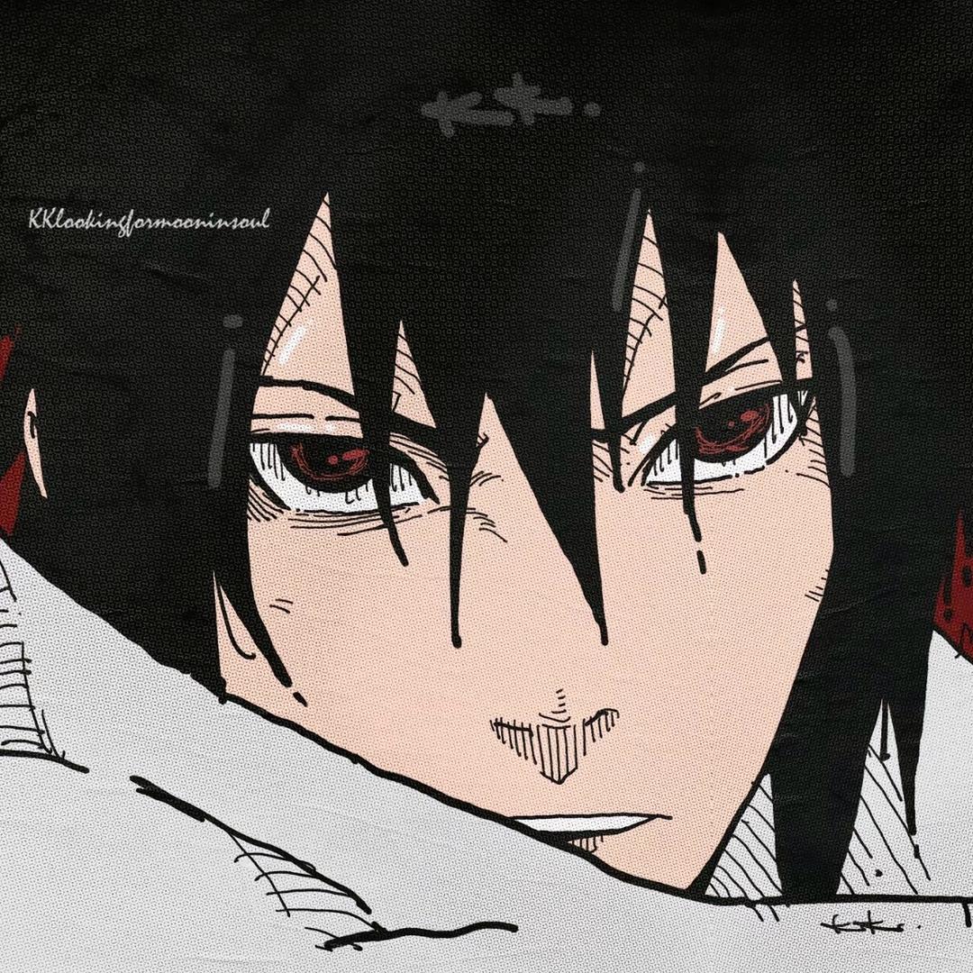 别走王丽娜（斑）