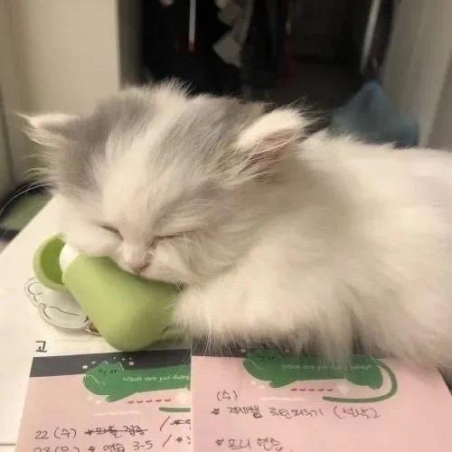 木禾.