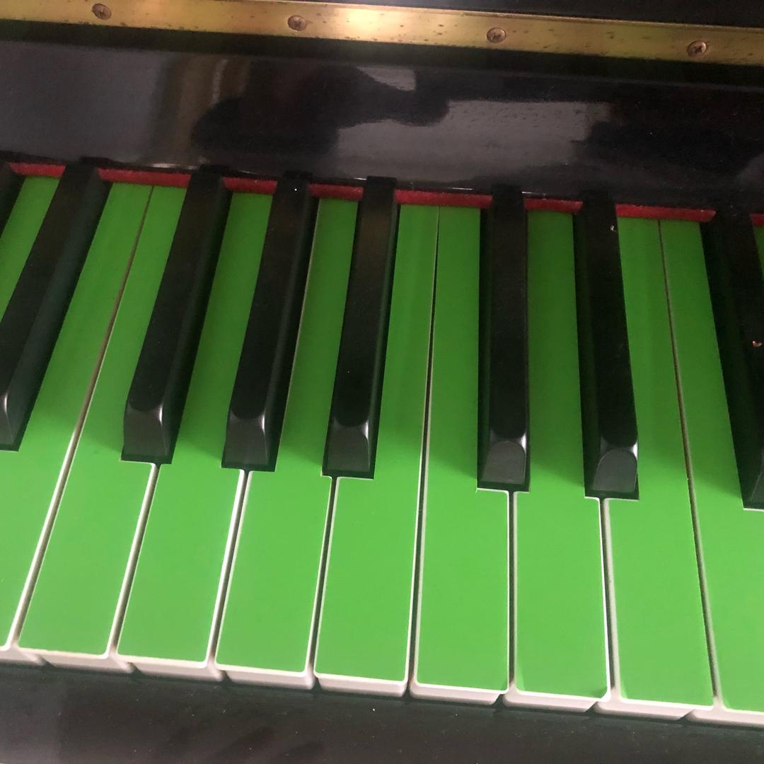 成芃辉（电子琴🎹）