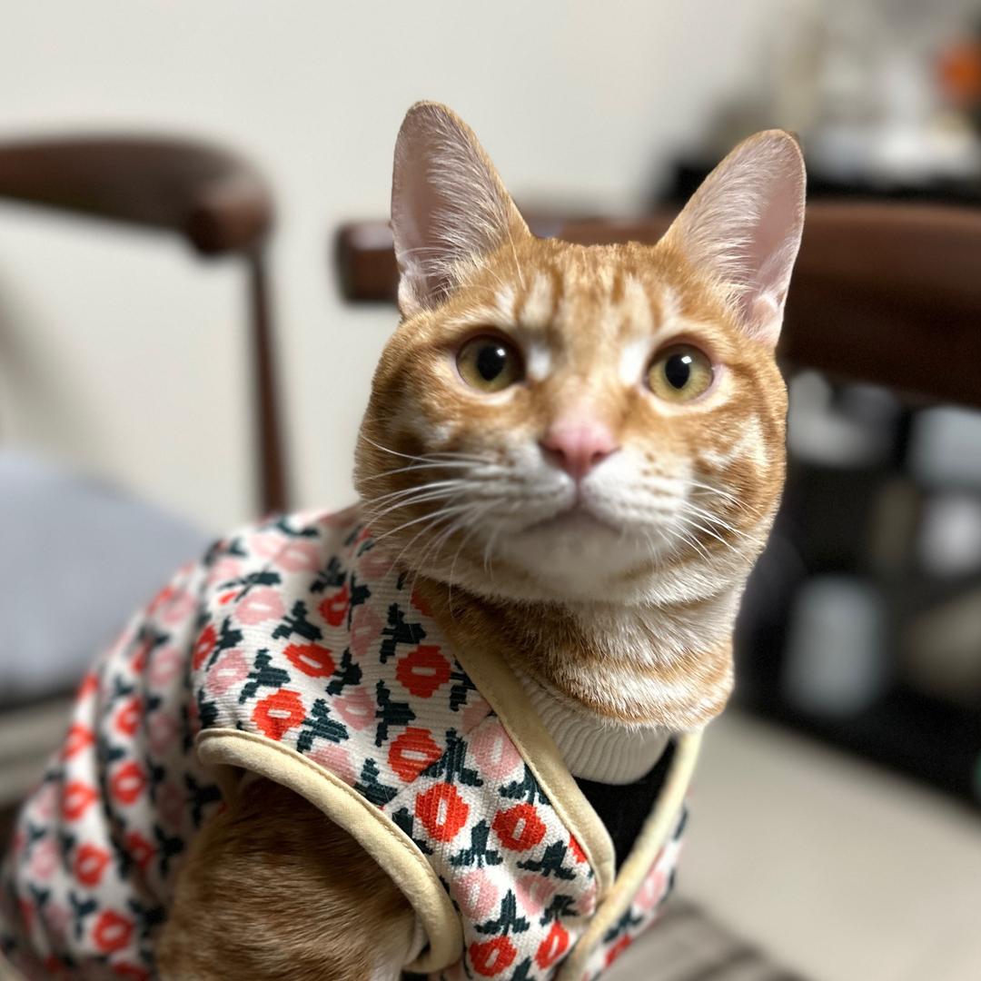 河源悦己美甲店，玫瑰