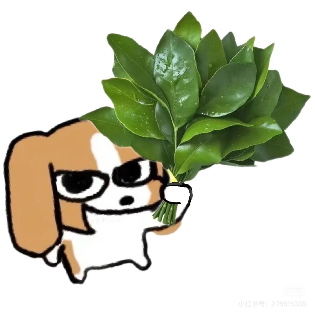 七七七七七七