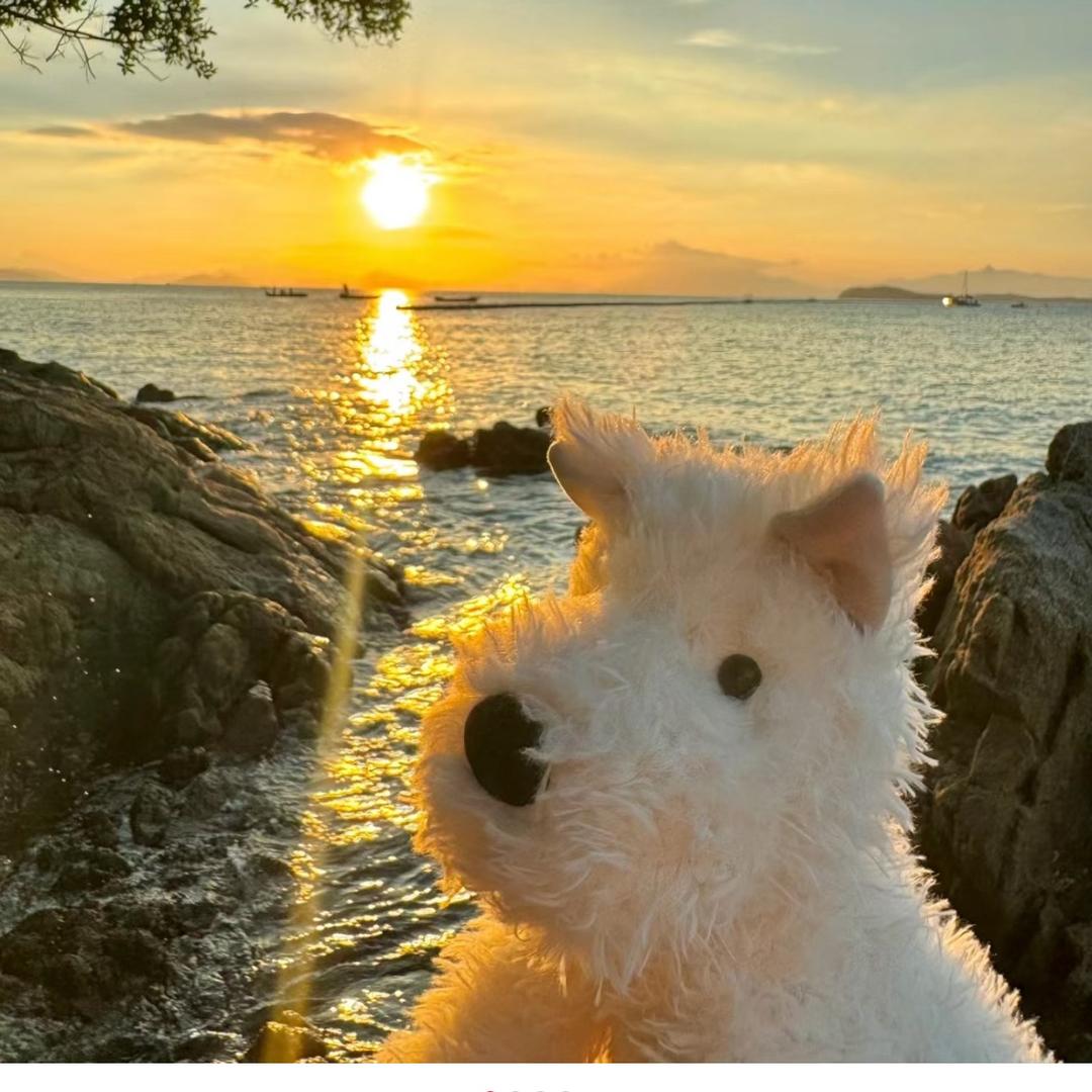 棉纱钱多多