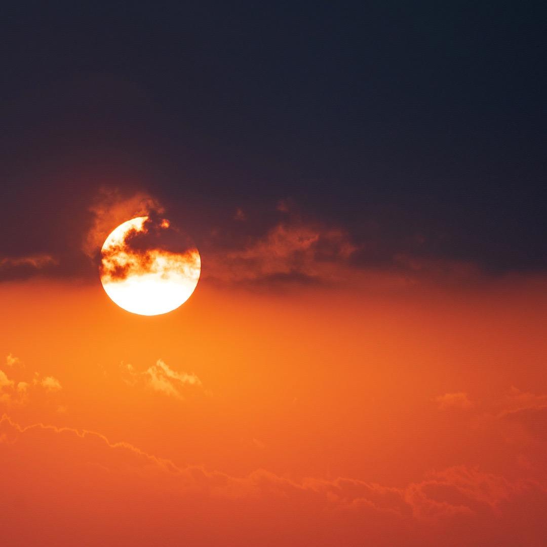 太阳红
