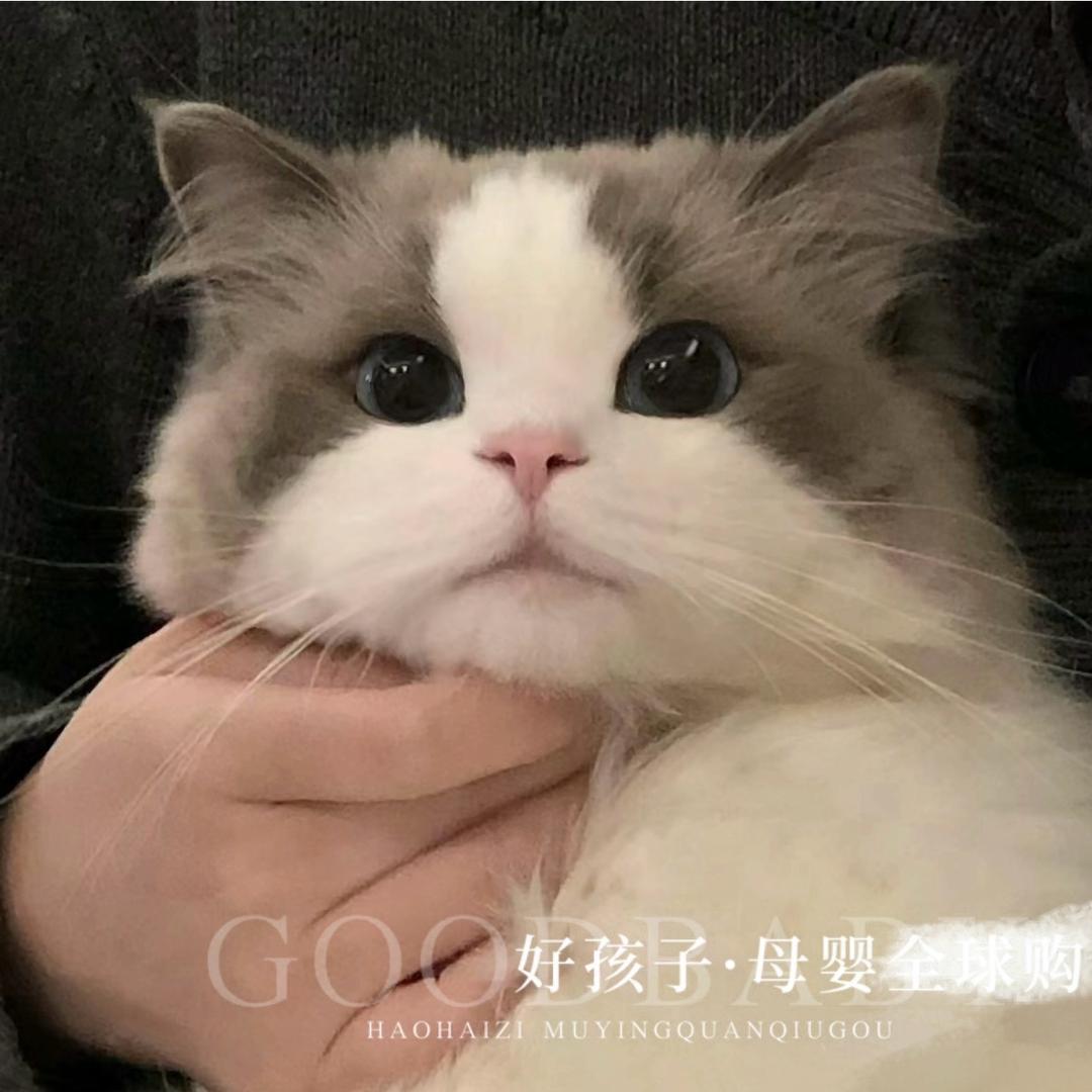 临淮街好孩子母婴实体店^_^